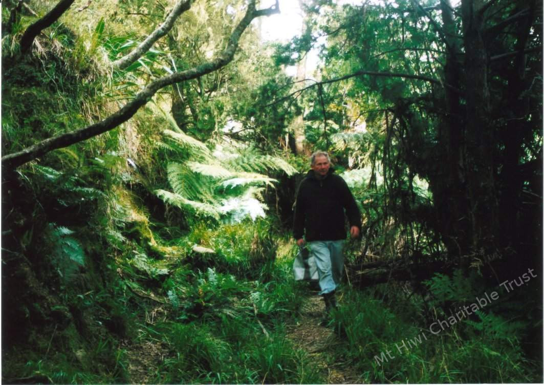 Rimu, Tree Fern, Wheki, Punga and other indigenous plants can be found